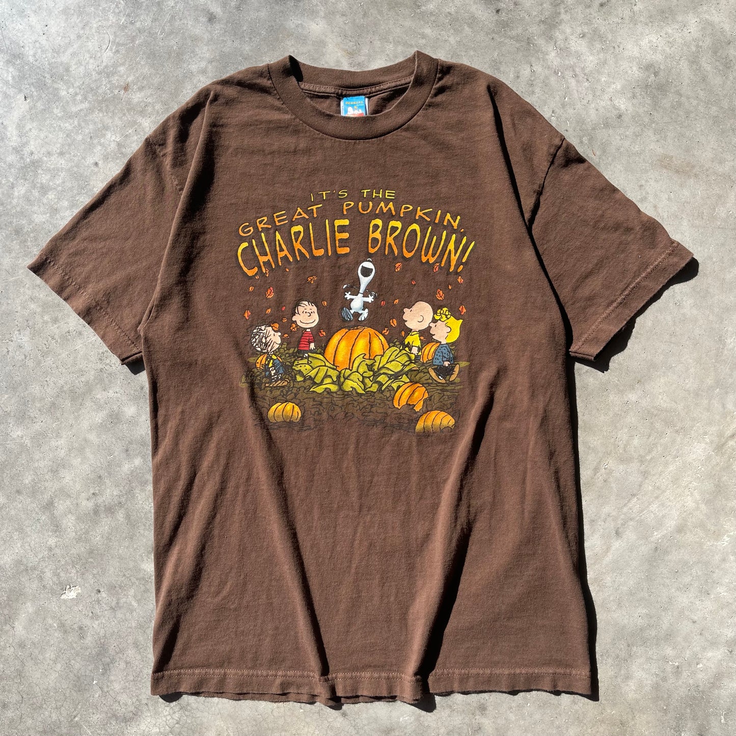 (L) Peanuts Charlie Brown Snoopy Pumpkin Tee
