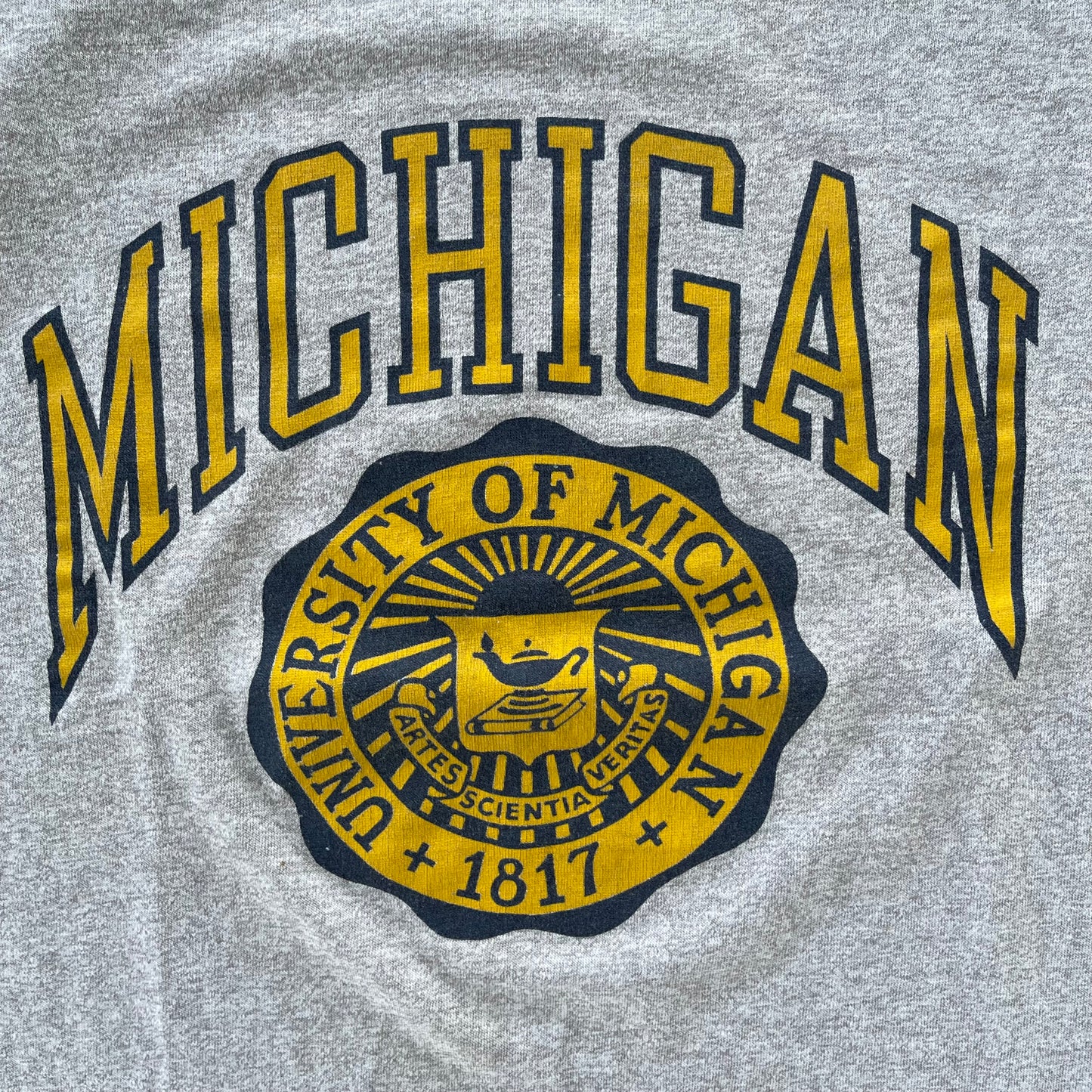 (S) 90s University of Michigan Tee
