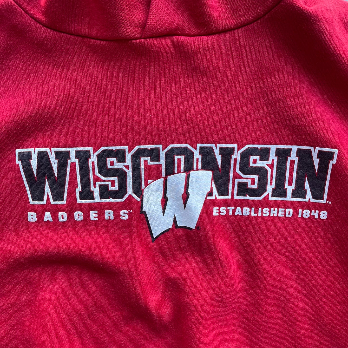 (L) 00s University of Wisconsin Badgers Cropped Fit Hoodie