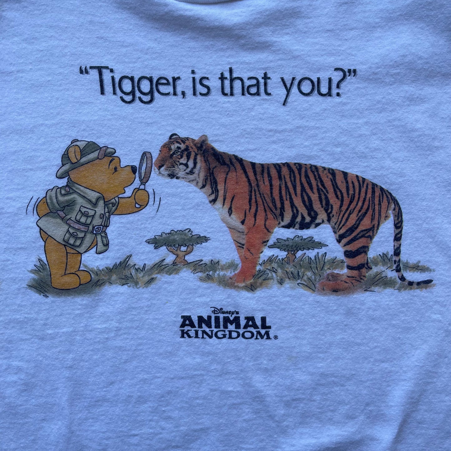 (L) Vintage Animal Kingdom Disney Winnie the Pooh "Tigger, is that you?" Tee