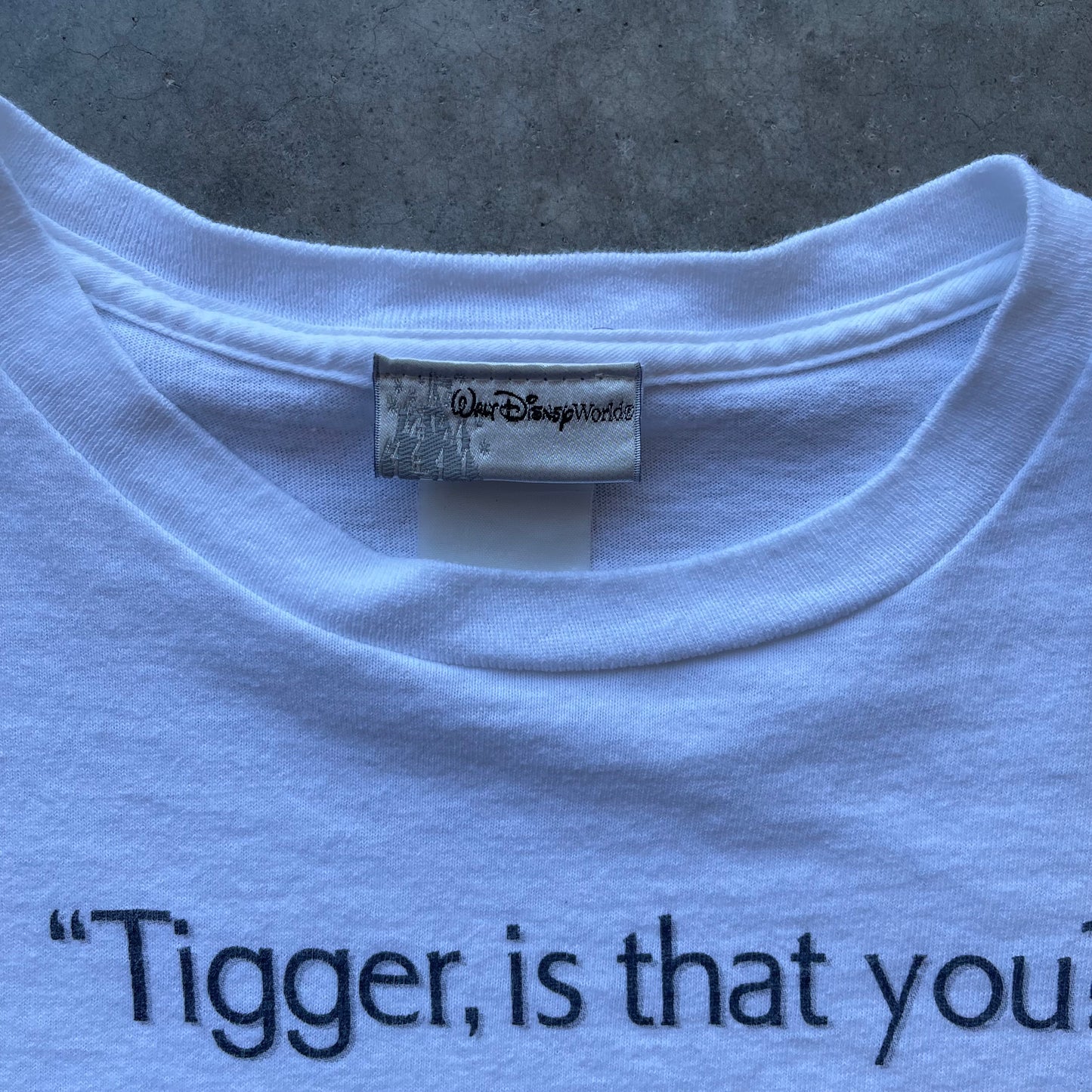 (L) Vintage Animal Kingdom Disney Winnie the Pooh "Tigger, is that you?" Tee