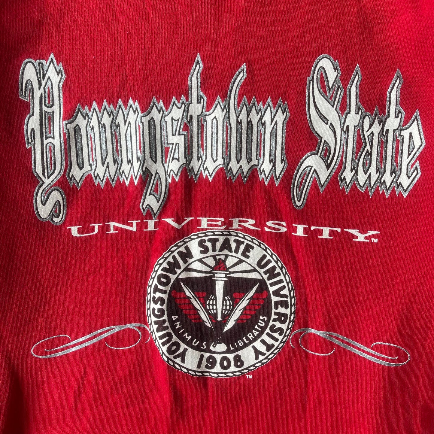 (M) 90s Youngstown State University Crewneck