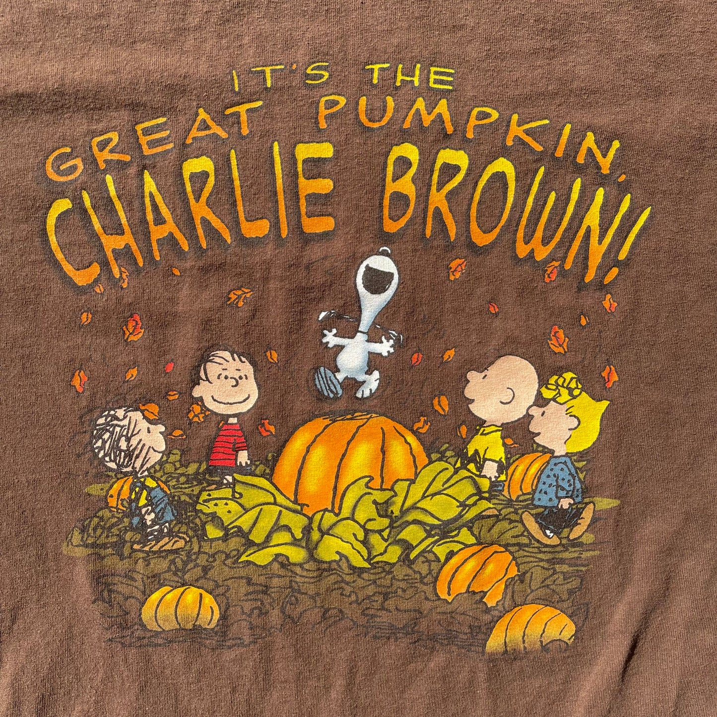 (L) Peanuts Charlie Brown Snoopy Pumpkin Tee