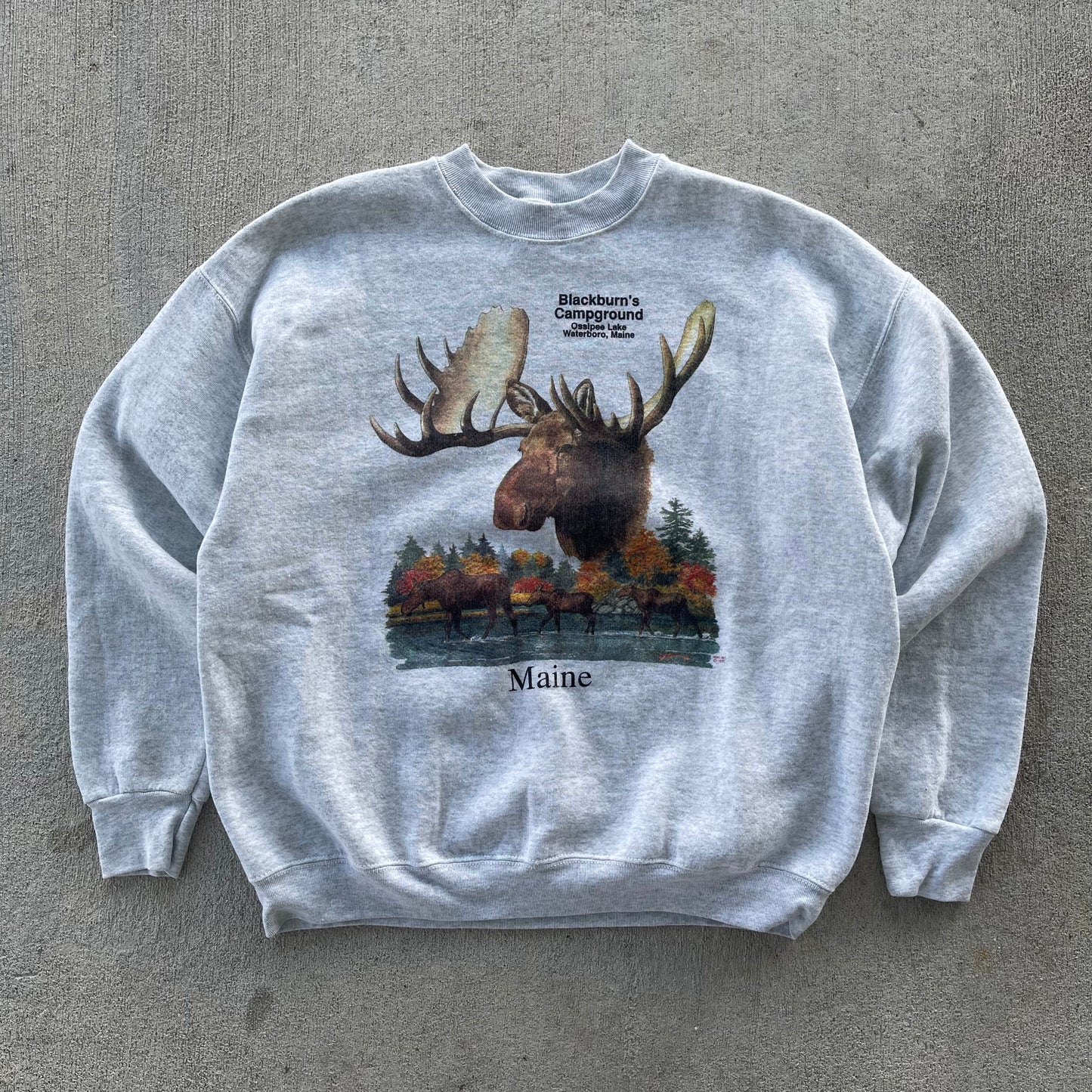 (M/L) 90s Moose Nature in Maine Crewneck