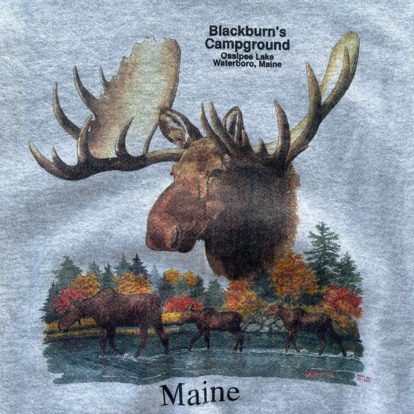 (M/L) 90s Moose Nature in Maine Crewneck
