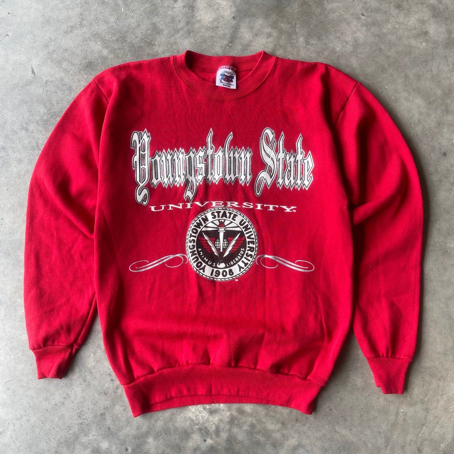 (M) 90s Youngstown State University Crewneck