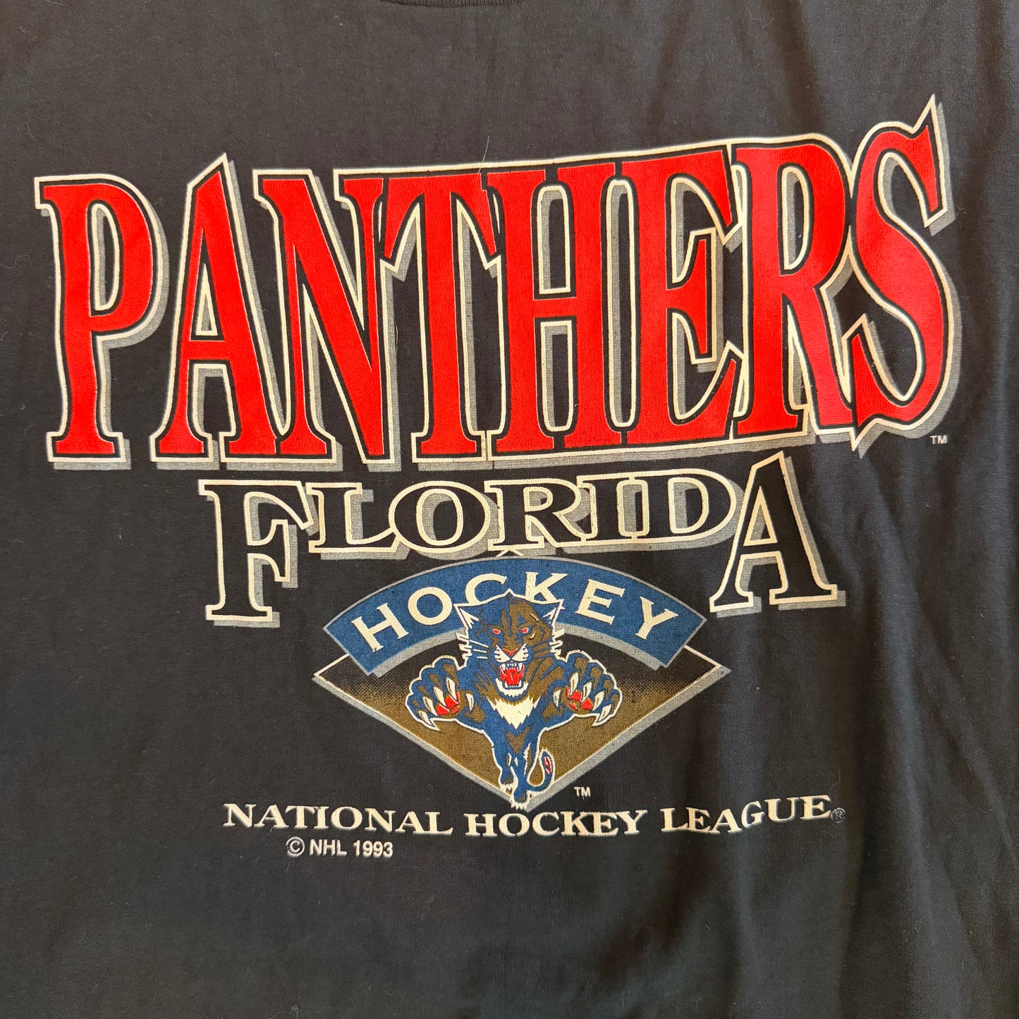 (L) Vintage 1993 Florida Panthers NHL Shirt