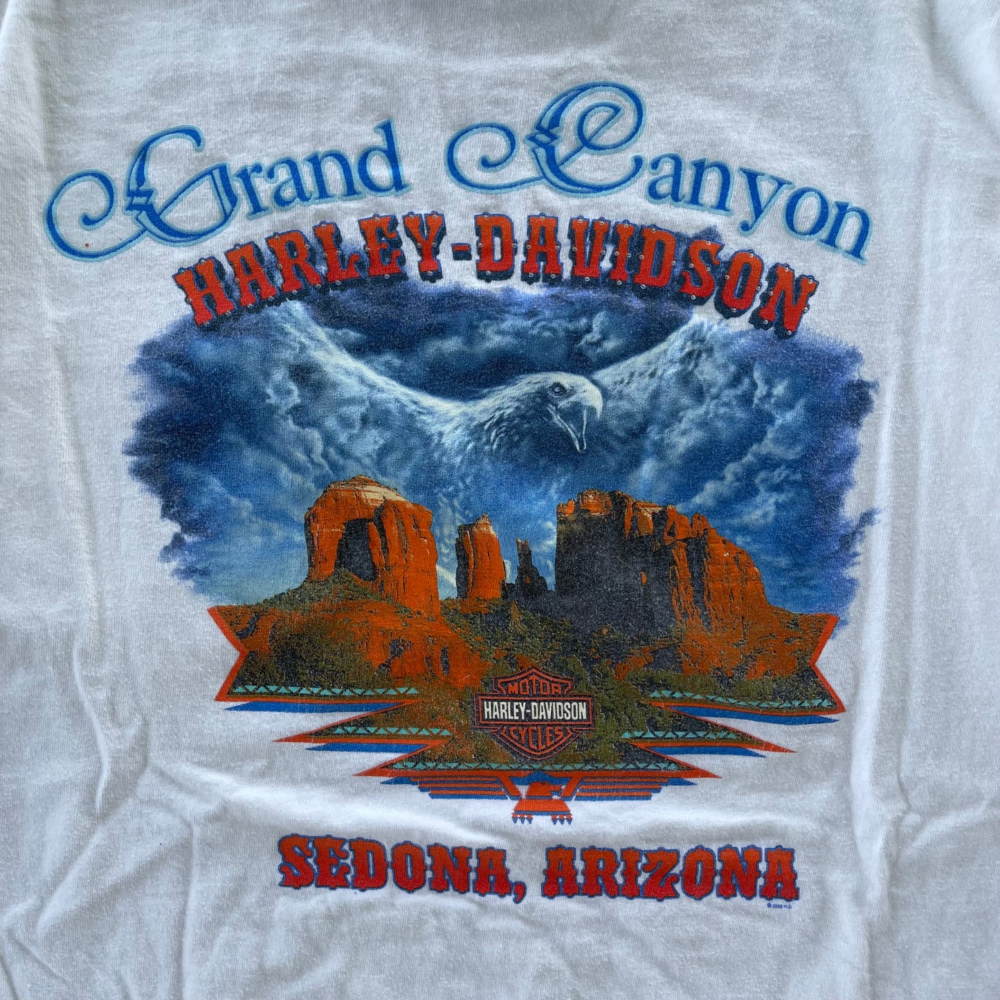 (M/L) 00s Harley Davidson Grand Canyon Tee