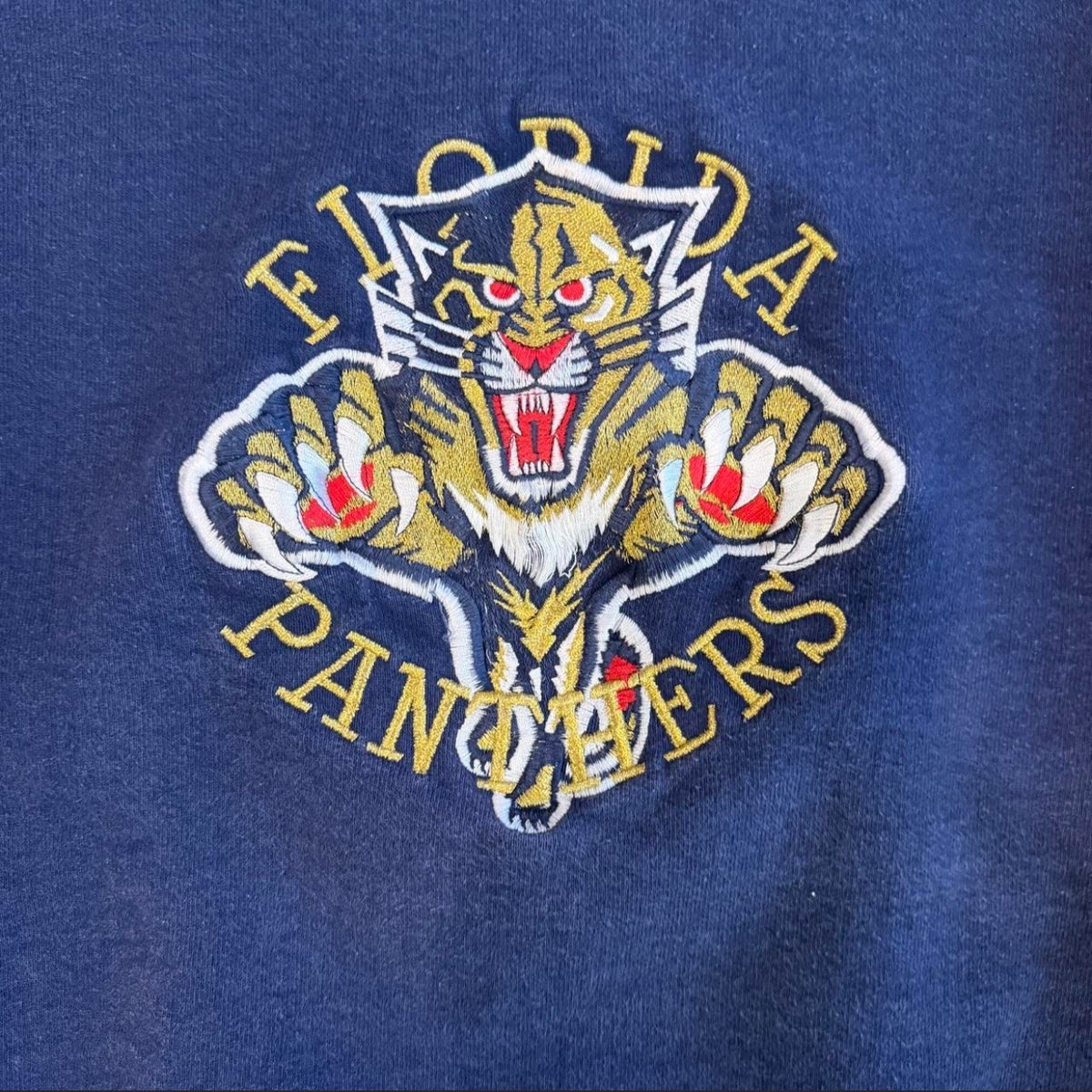 (L) Vintage 90s Florida Panthers Crewneck