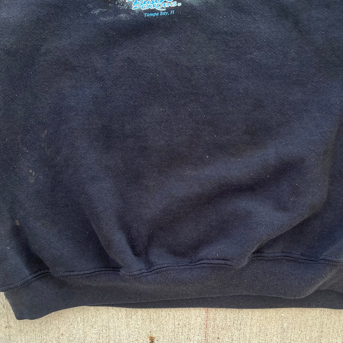 (L) 00s Busch Gardens Tiger Graphic Crewneck